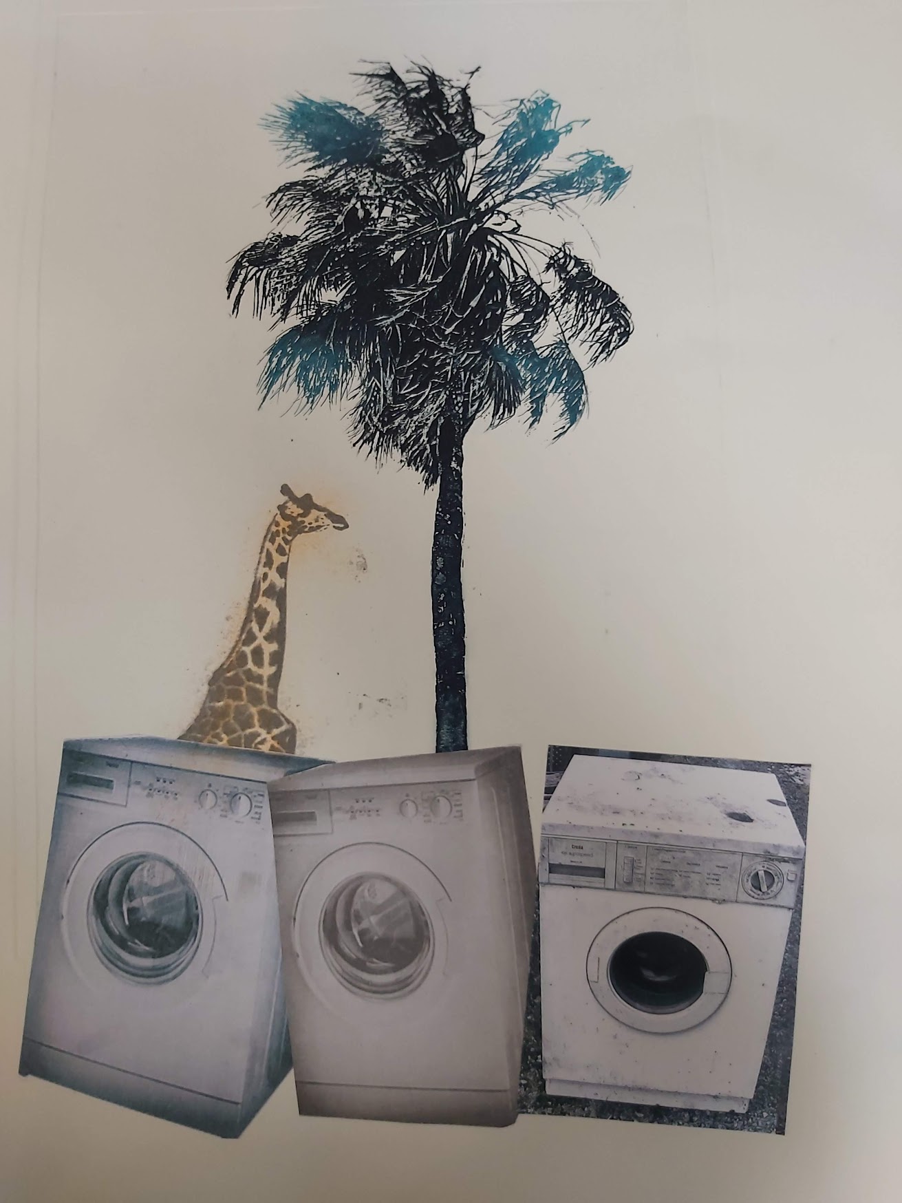 Palm tree with giraffe and washing machines