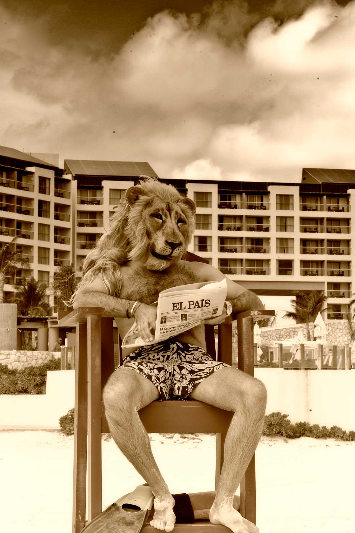 Lion 1