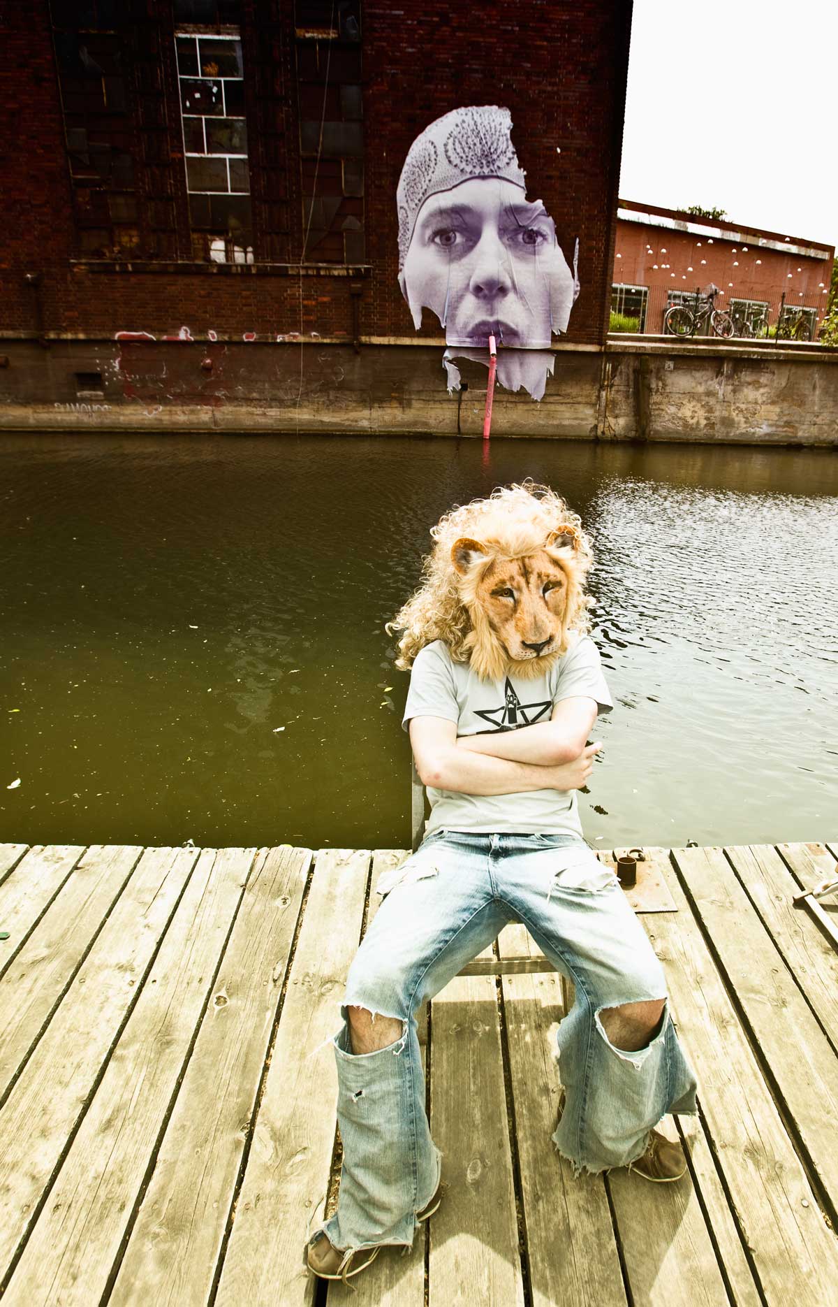 Lion 2