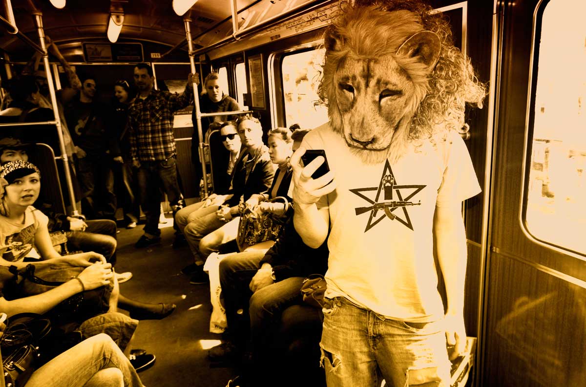 Lion 6