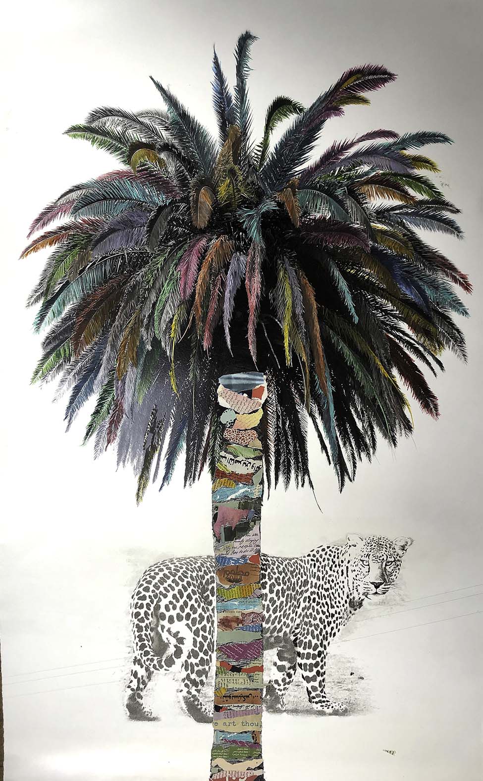 Palm tree with leopard