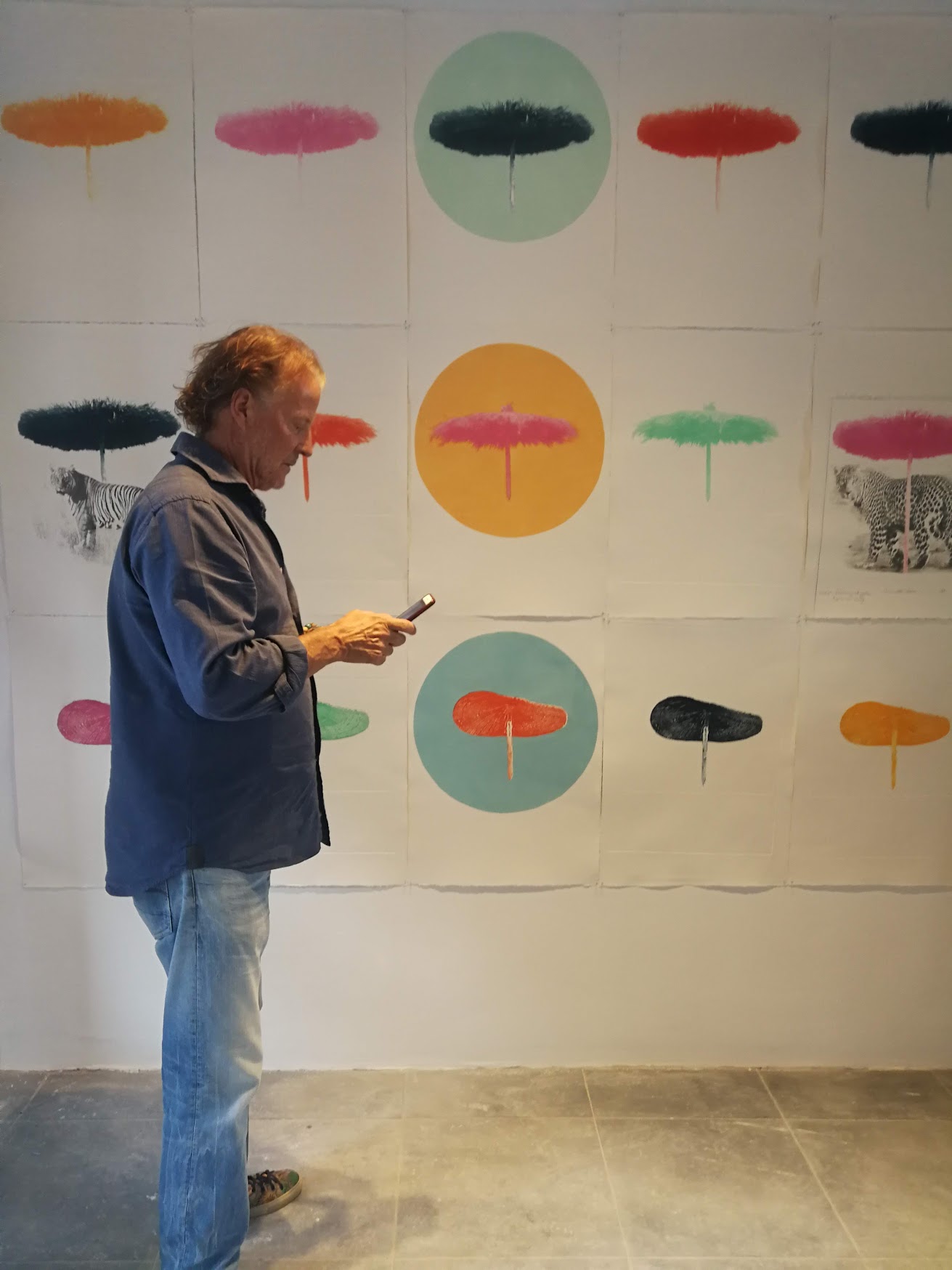 Estudio 15