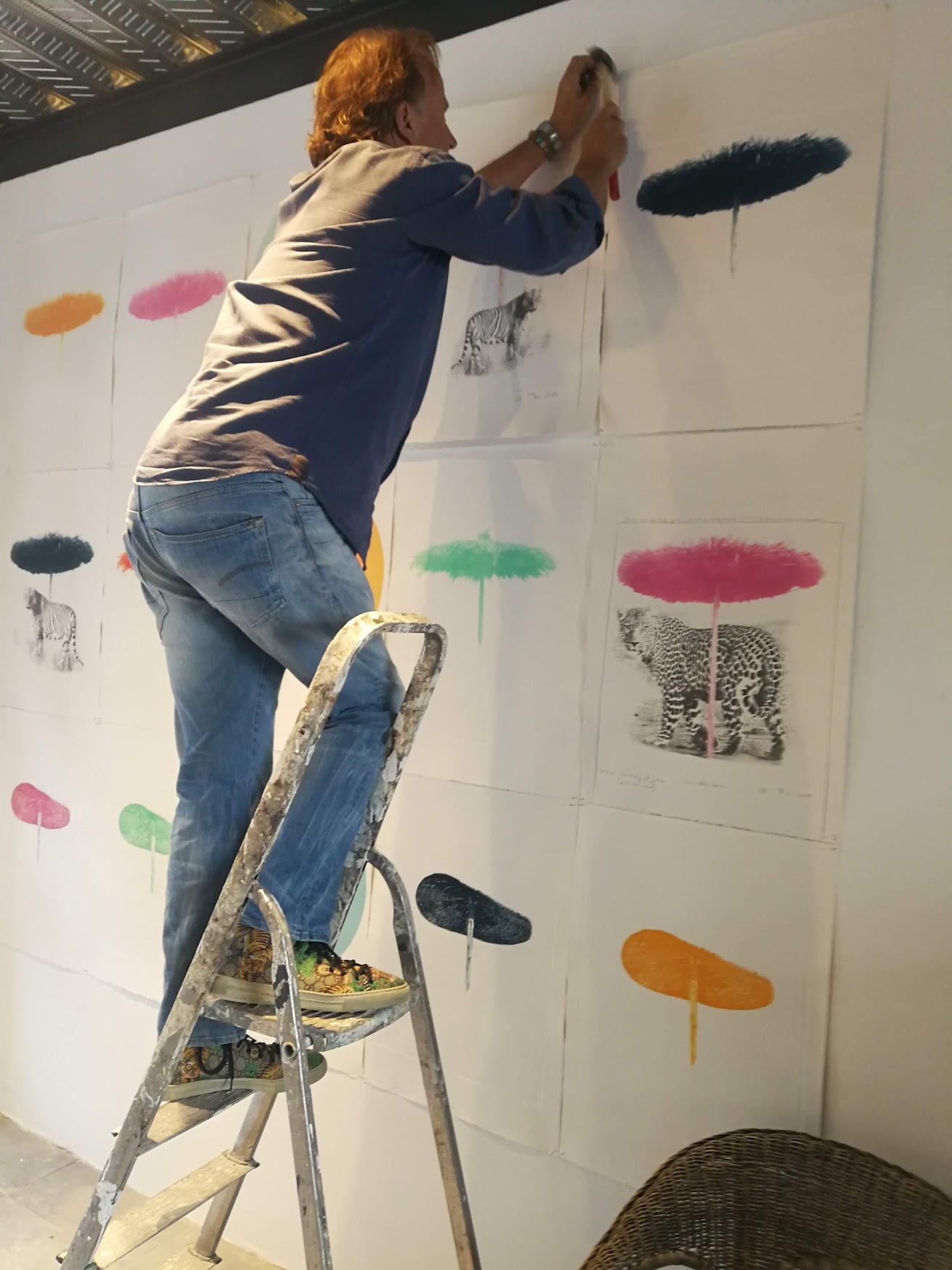 Estudio 14